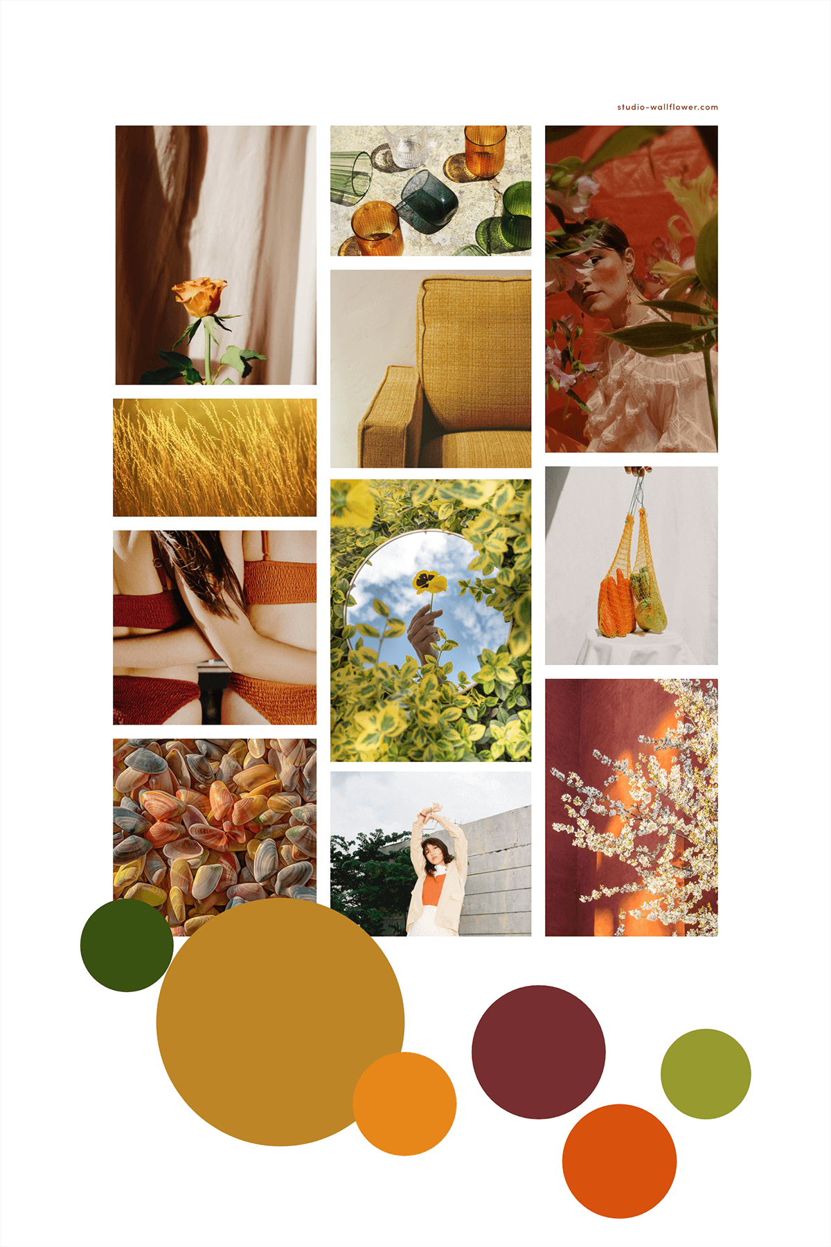 how to make a moodboard with stock photos