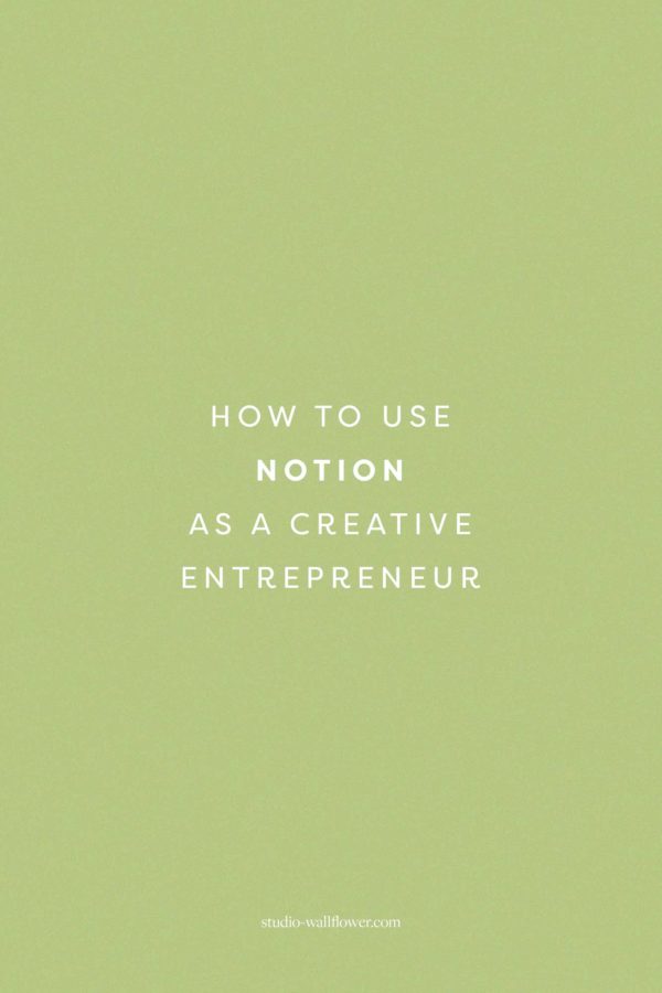 how to use notion as a creative entrepreneur