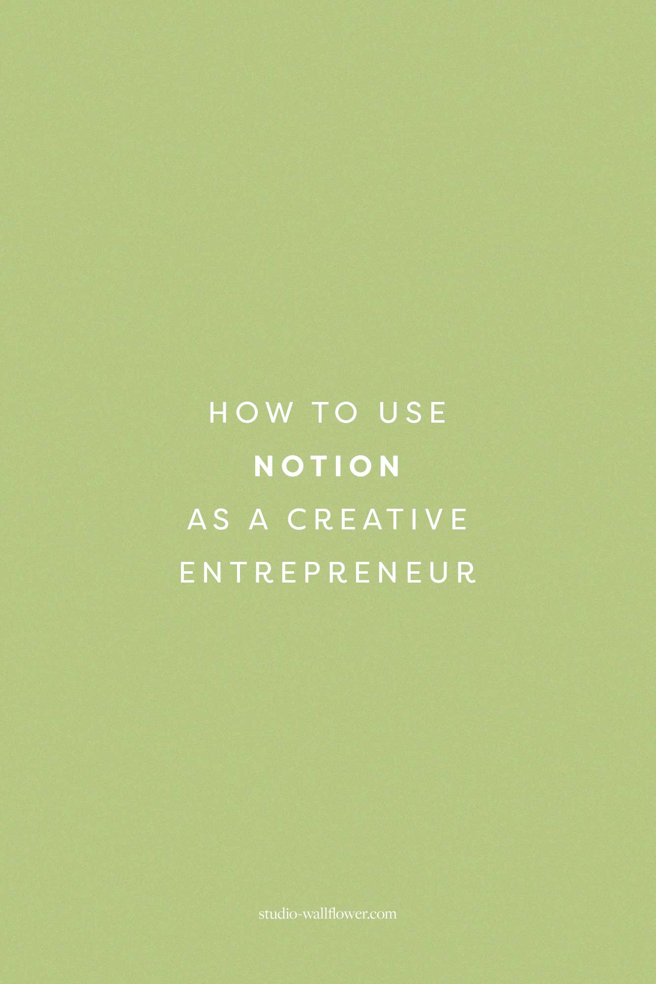 how to use notion as a creative entrepreneur