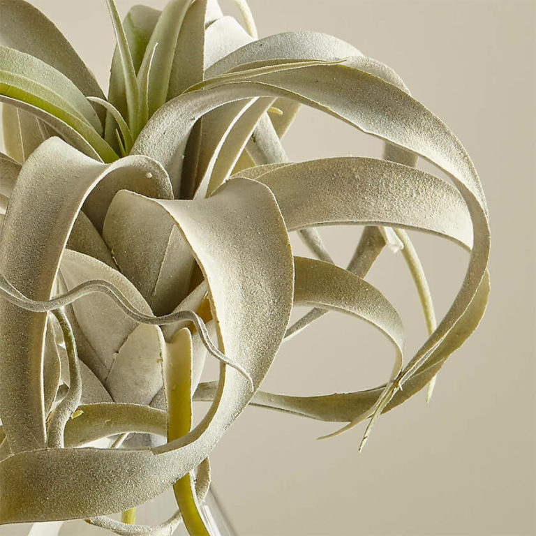 Where To Buy Modern Faux Plants & Faux Flowers wallflower