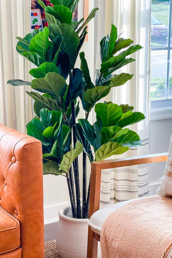Where To Buy Modern Faux Plants and Flowers