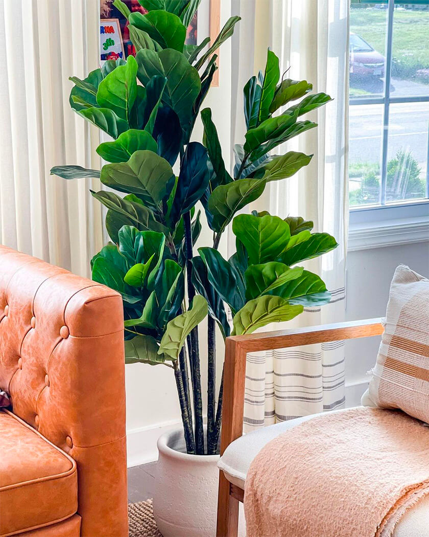 Where To Buy Modern Faux Plants and Flowers