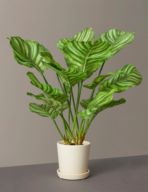 Where To Buy Modern Faux Plants & Faux Flowers wallflower