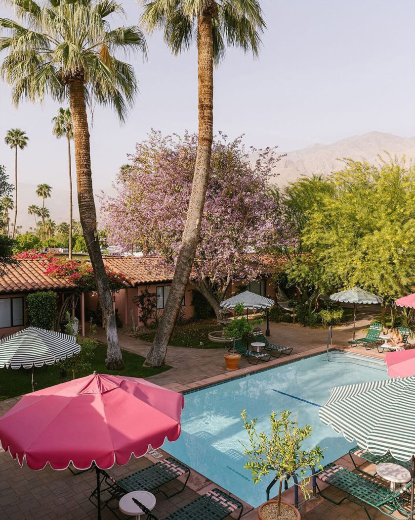 Best Boutique Hotels Palm Springs New Hotels Palm Springs