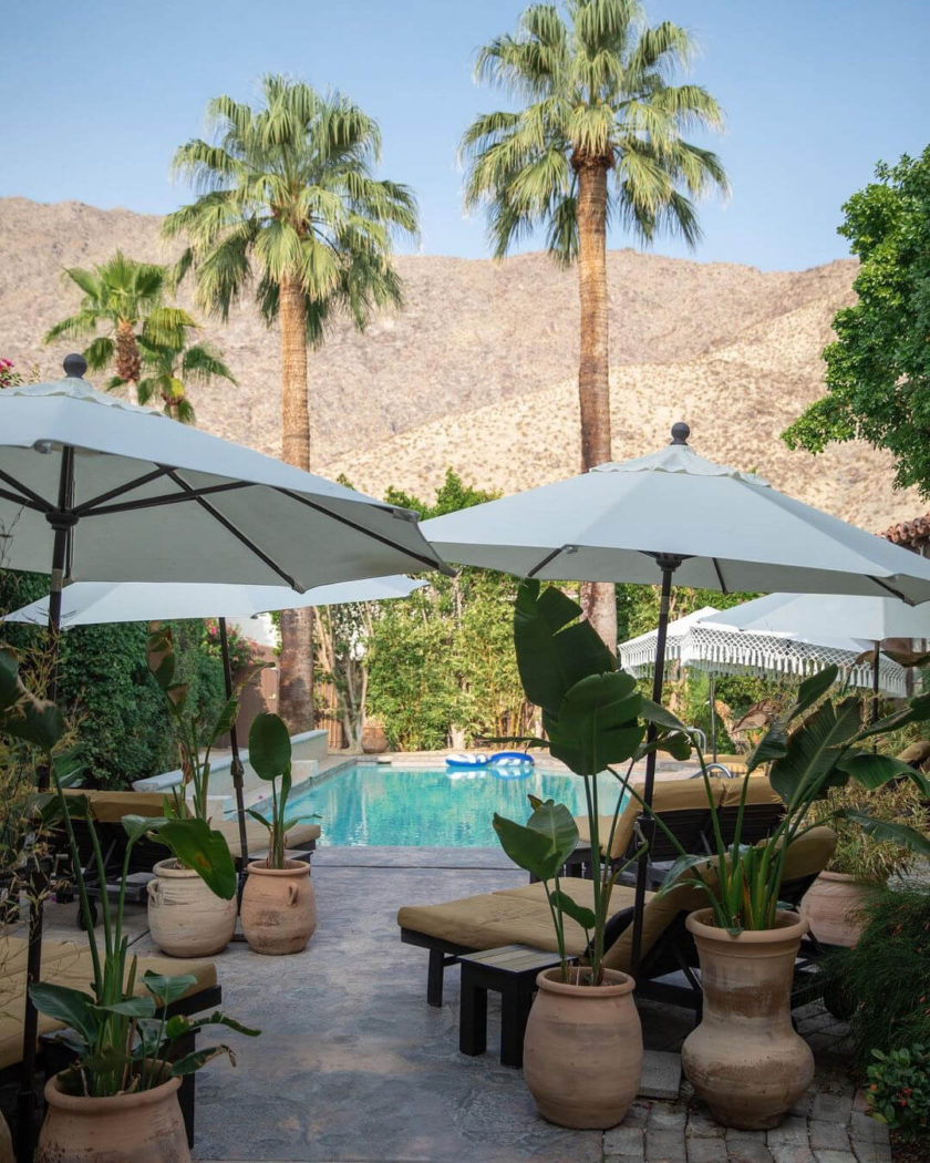 Best Boutique Hotels Palm Springs New Hotels Palm Springs