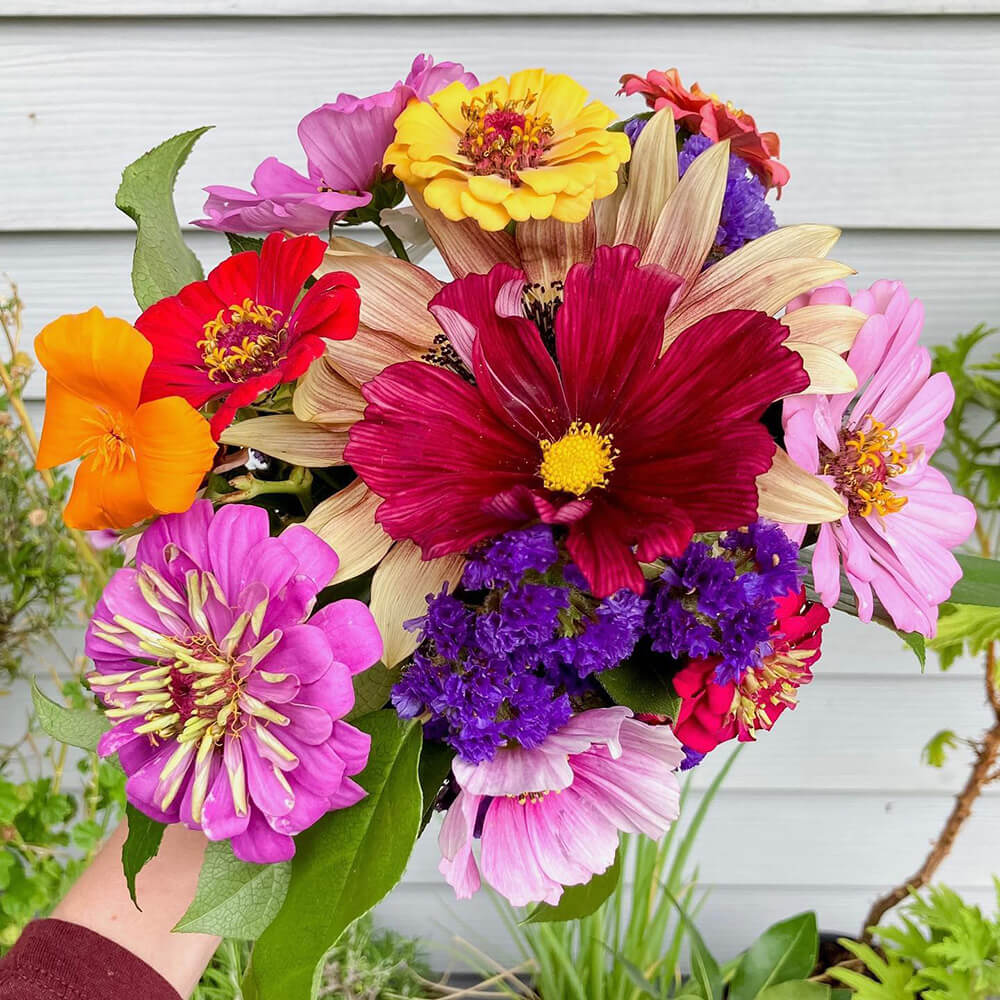 highly sensitive gardener colorful bouquet