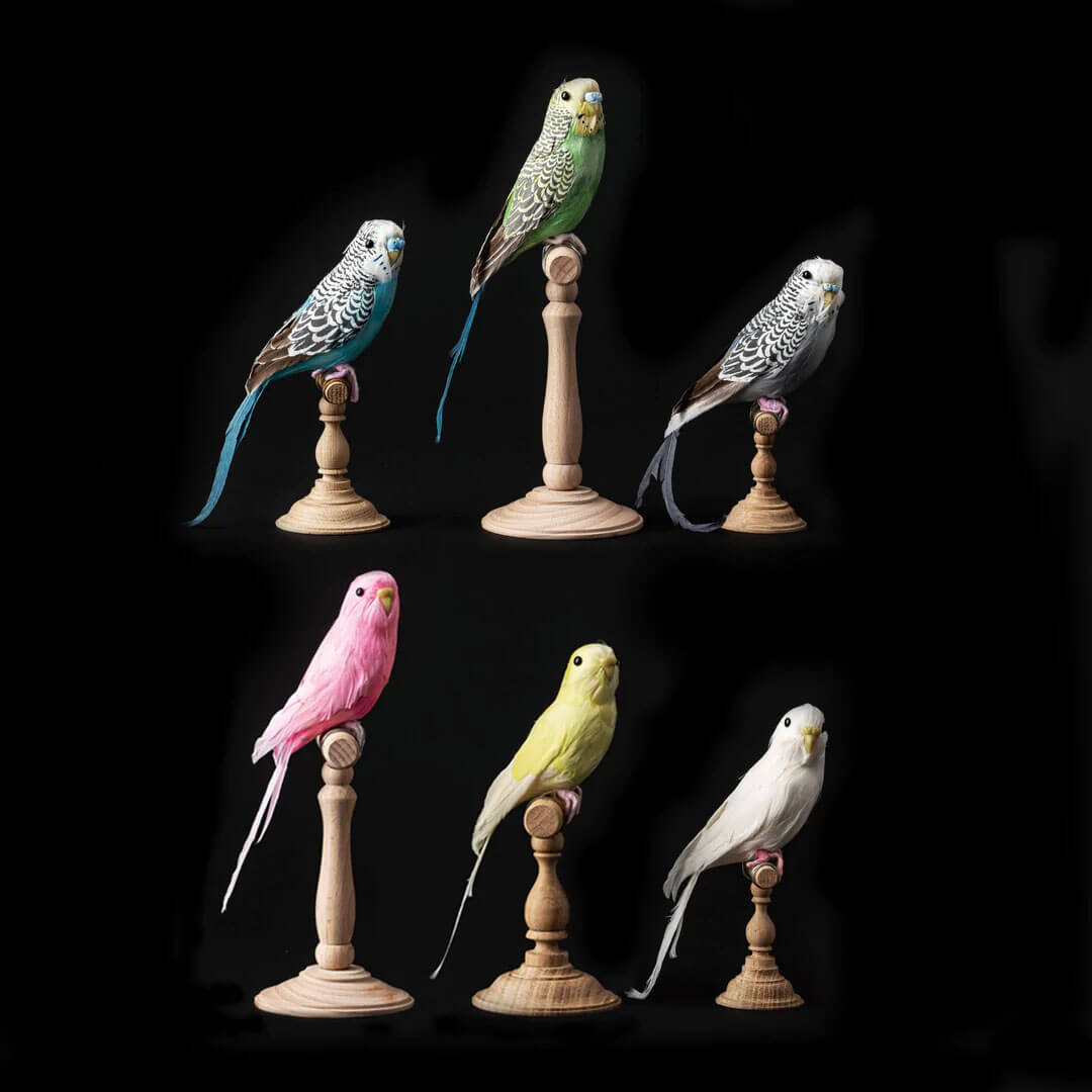 colorful artificial budgies