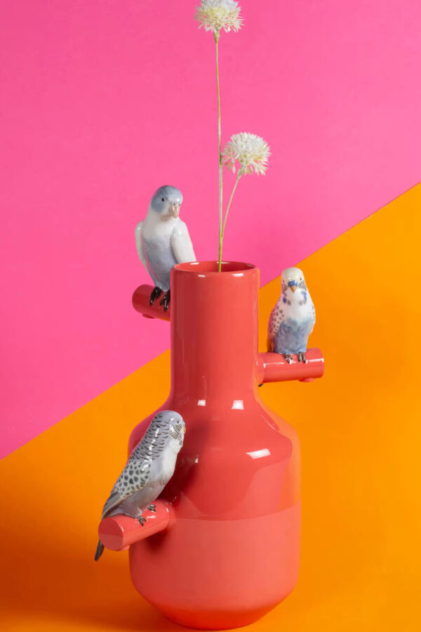 budges parrot red vase