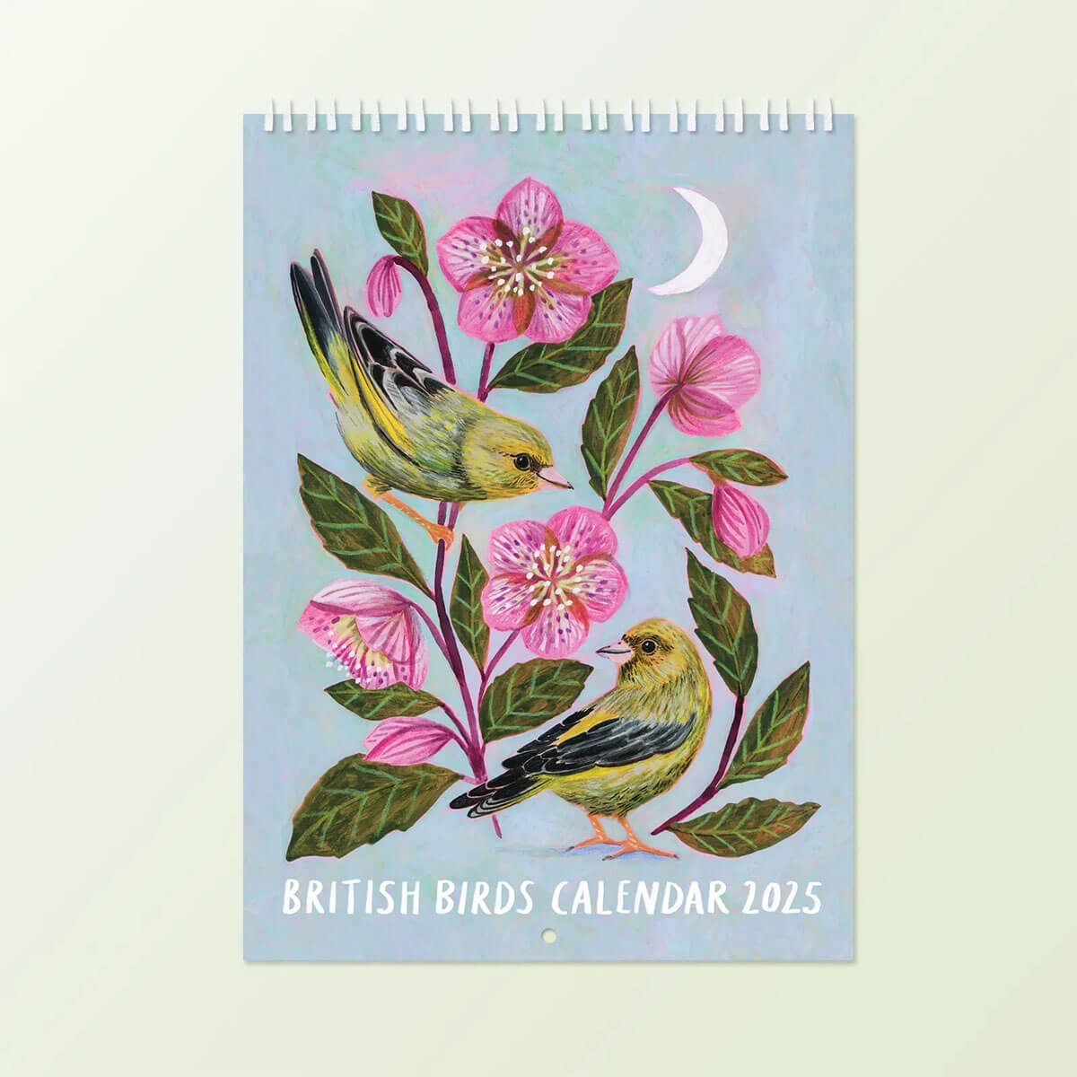 british birds 2025 calendar