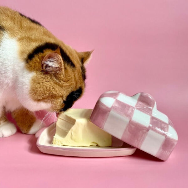 Unique Butter Dishes Ceramic Butter Dish Wallflower