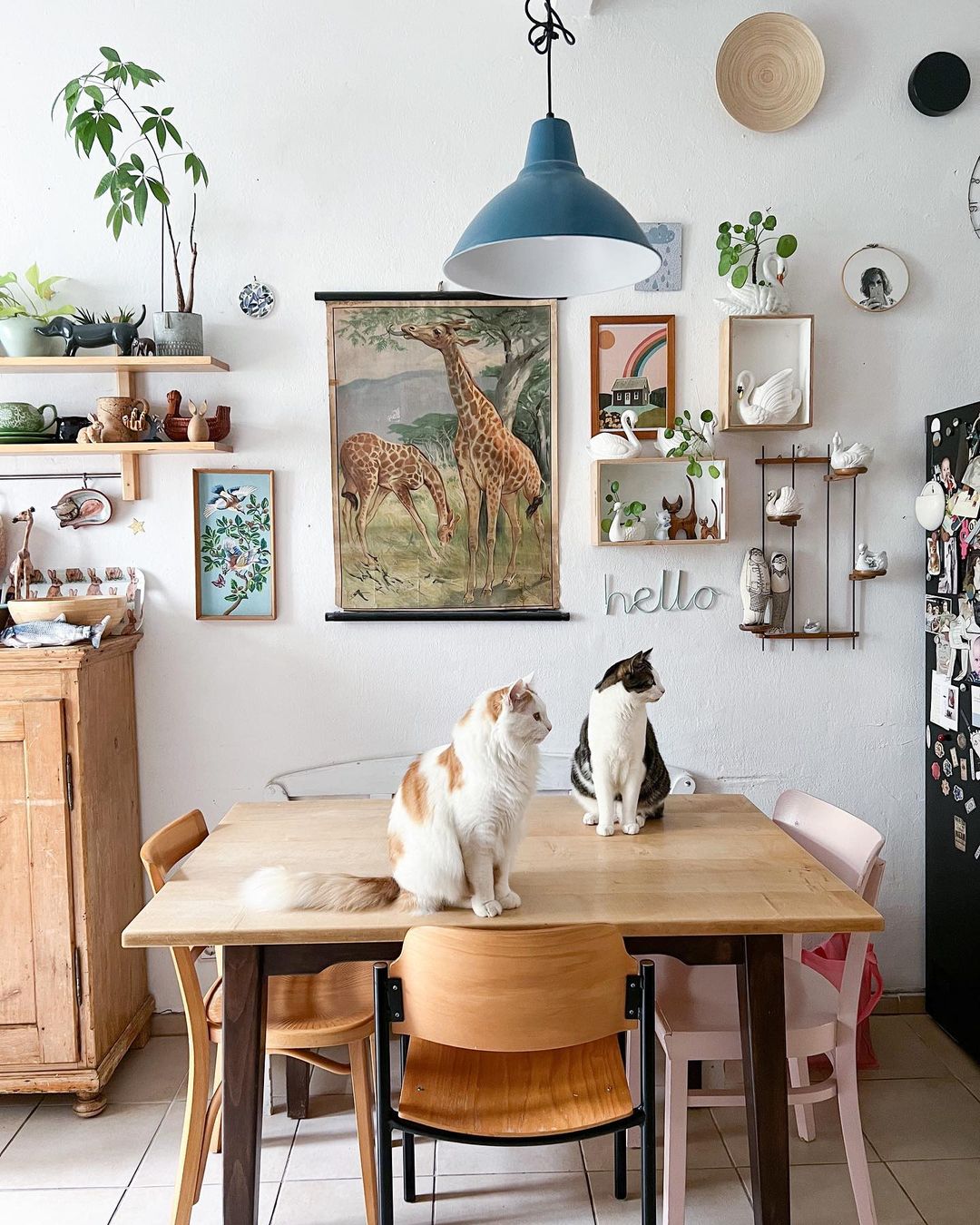 two kitties in front of art wall in kitchen of @fraeuleinnussboeck
