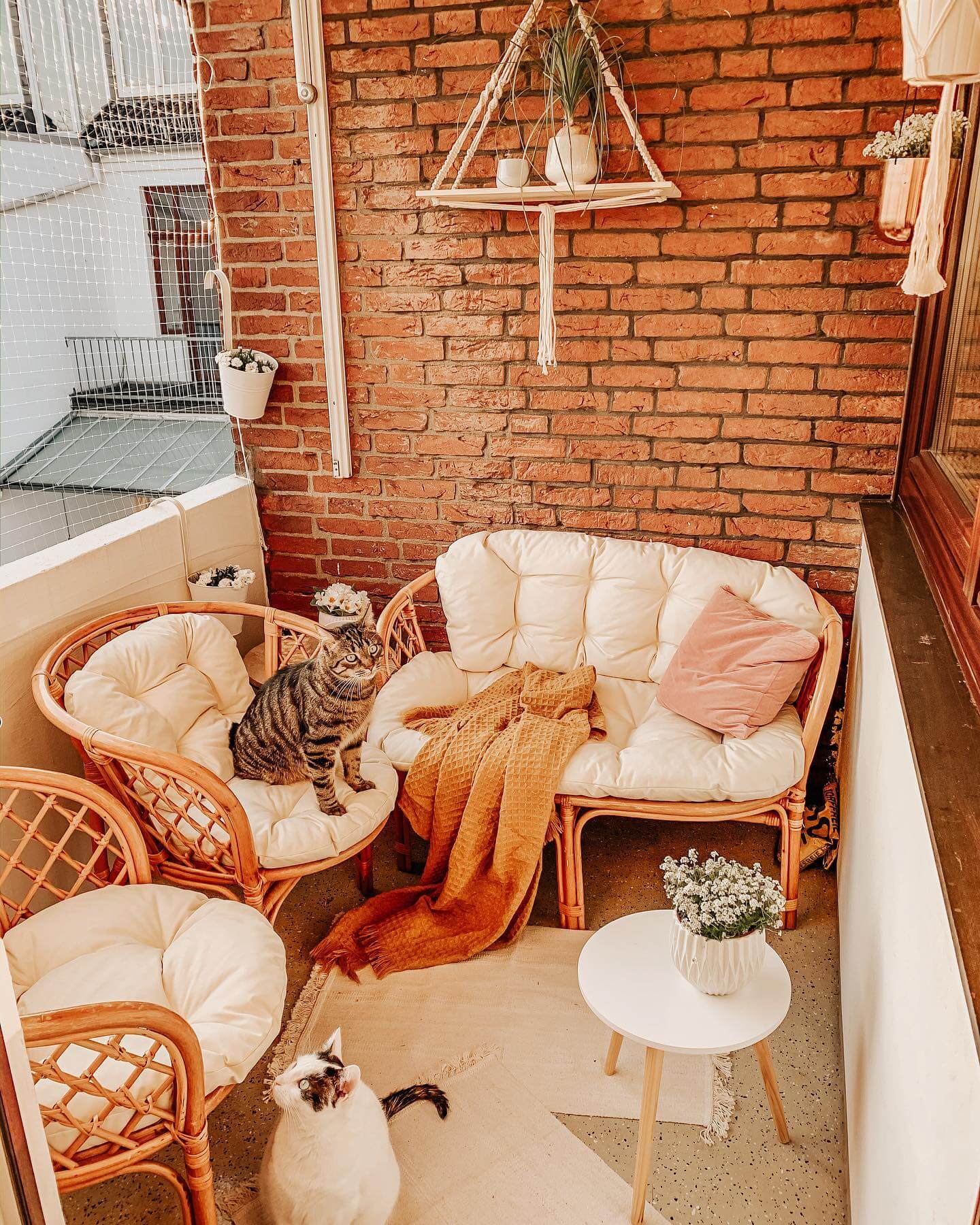 casa fabelhaft warm interior with cats