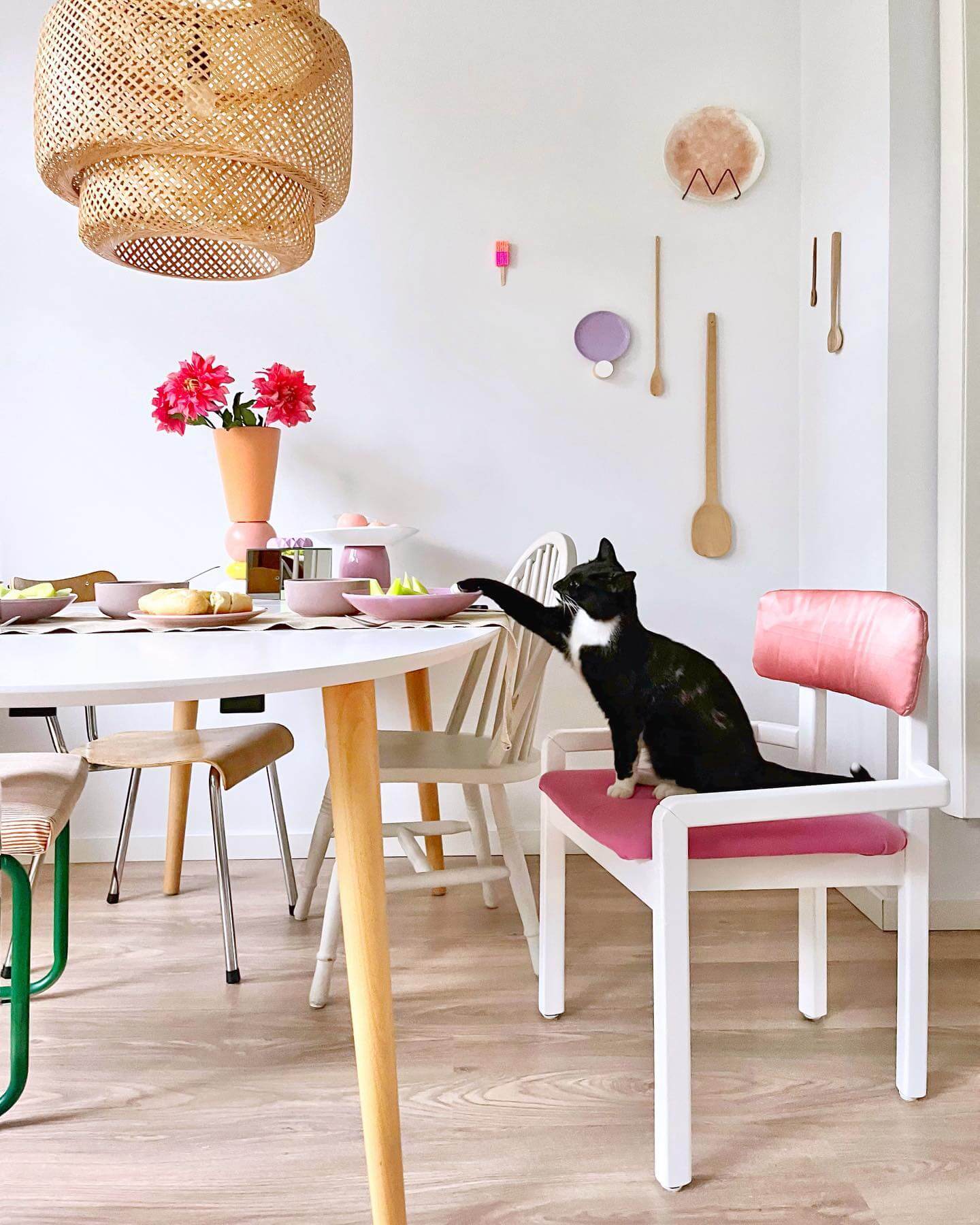happy hildy home - pastel home with cat