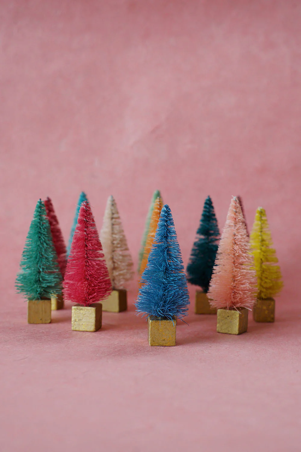 rainbow mini bottle brush trees